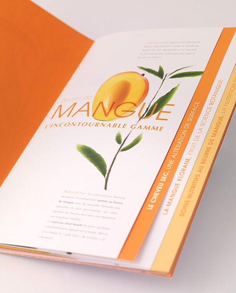 Dossier de presse lancement produit capillaire Mangue KLORANE