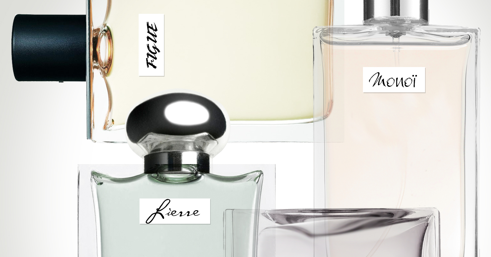 L&rsquo;ÉLÉGANCE DE LA FRAGRANCE